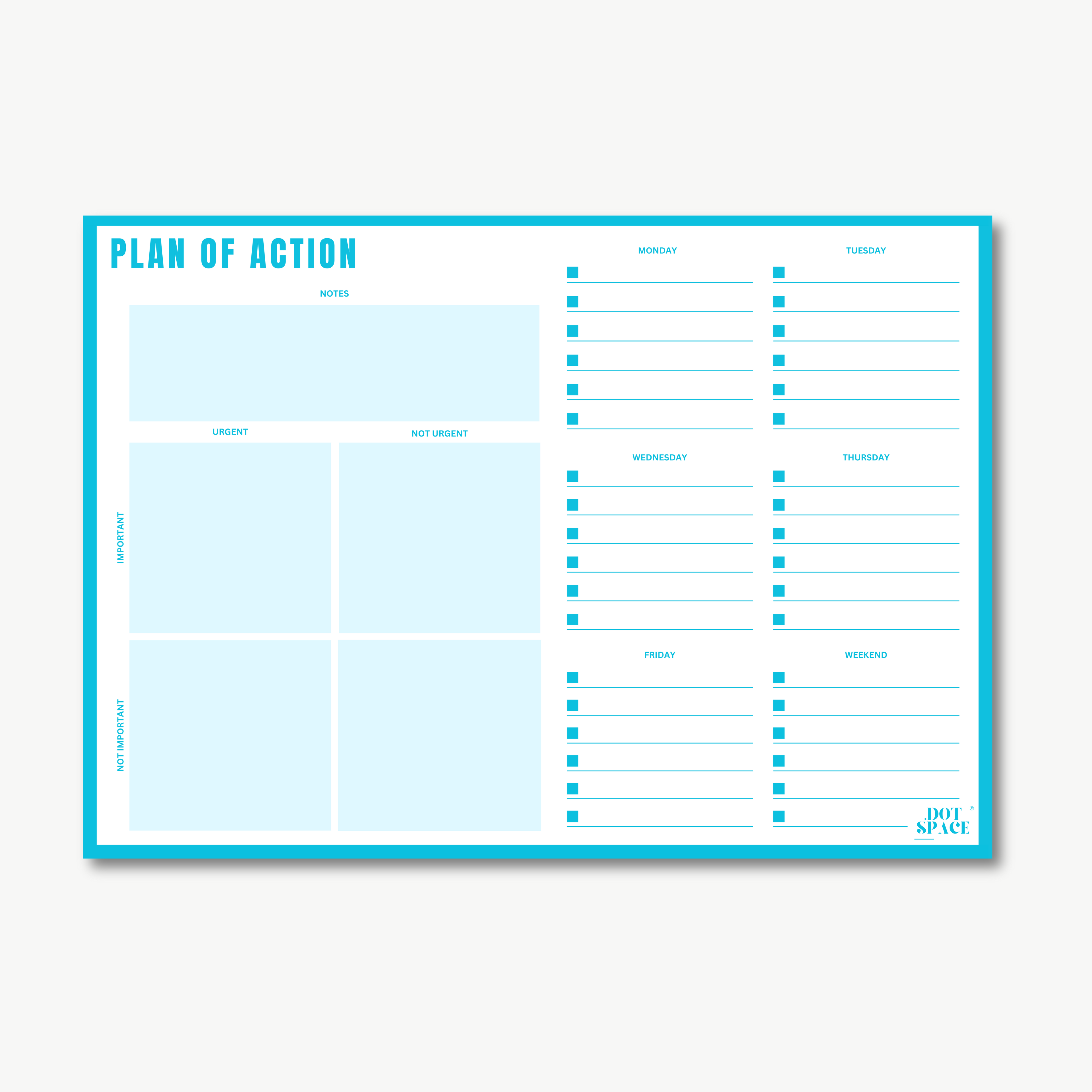 Plan of Action I